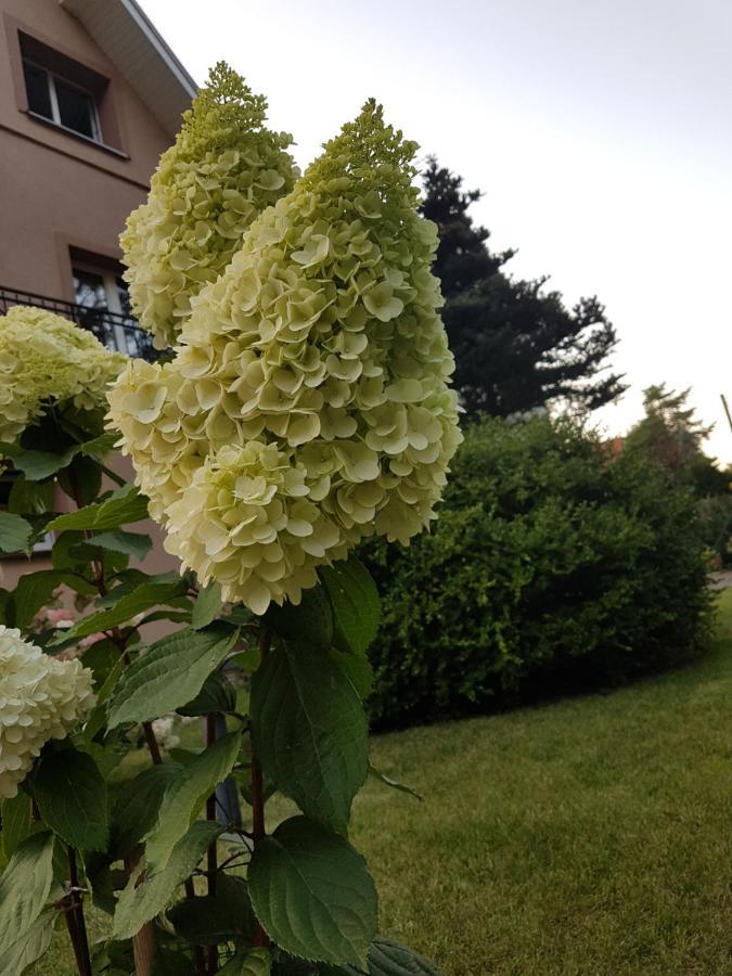 Apartamento Janina Pobierowo Exterior foto